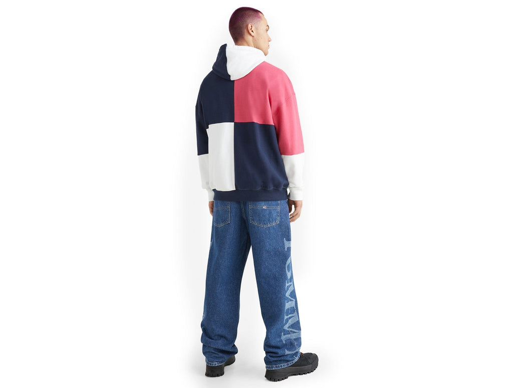 Poleron Cg Tommy Skater Archive Hoodi Hombre Multicolor